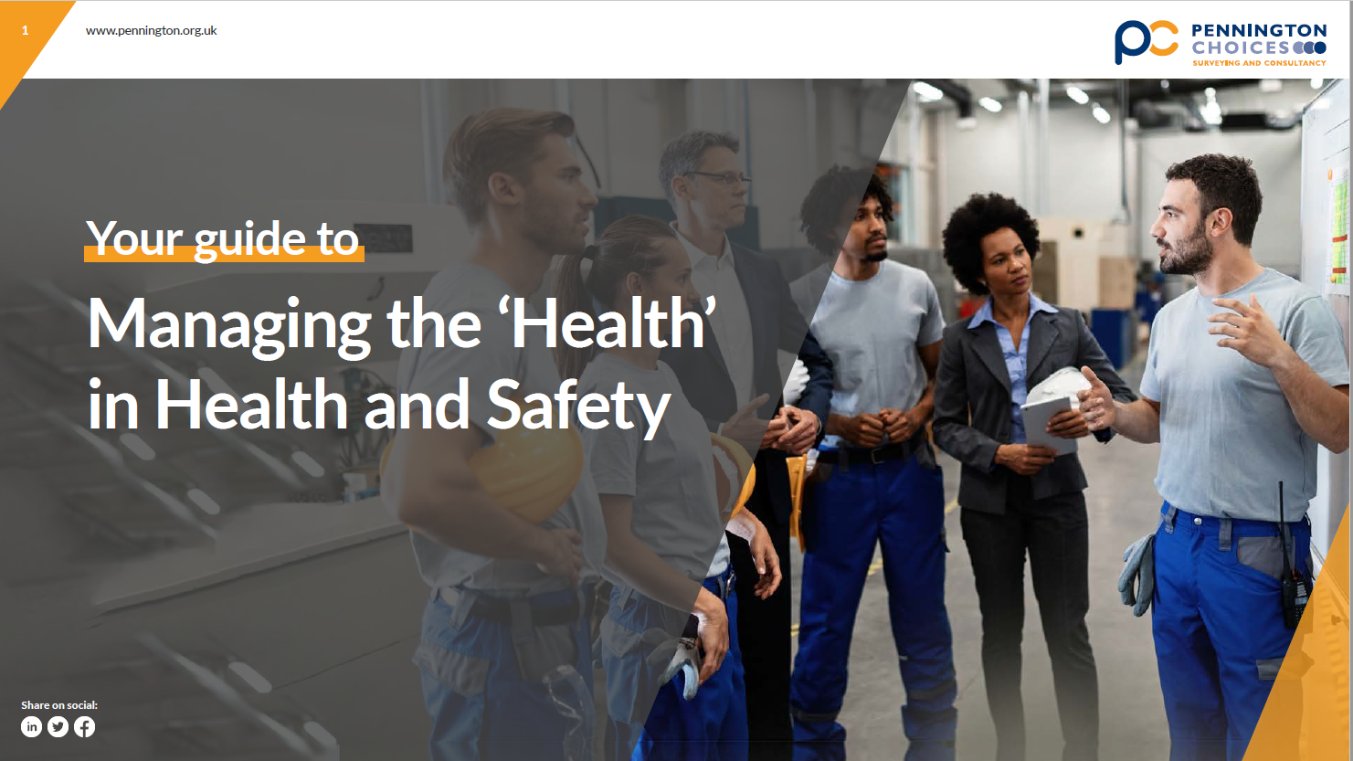 Cover image - Managing the Health in H&S