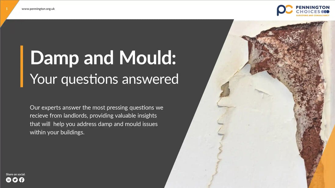 Damp and Mould FAQs cover image