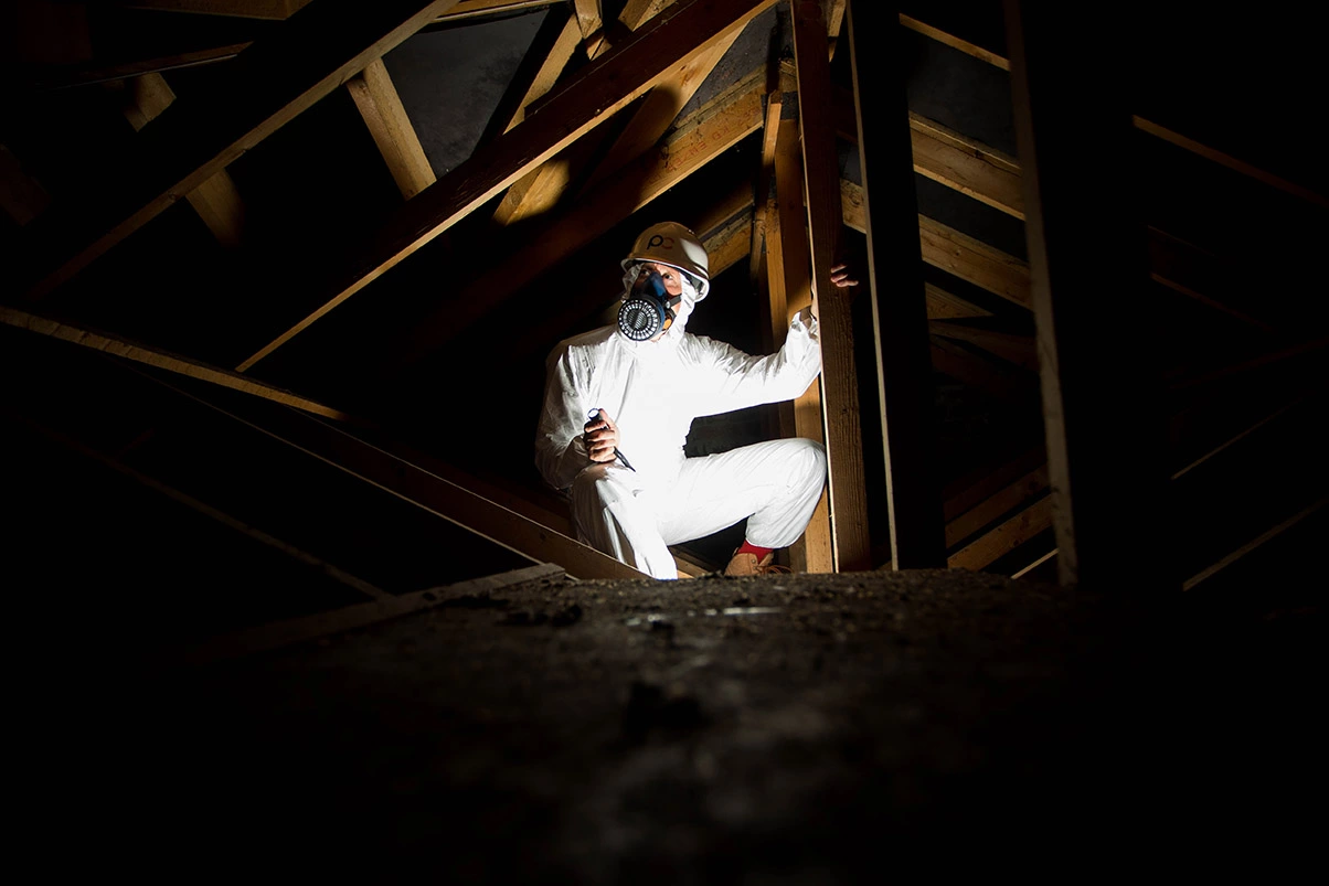 Asbestos Surveying - WebP